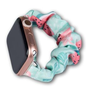 Cloth Watch 7 band 7/6/5/4/3/2 / SE (45/44 / 42mm) strap bracelet bracelet on elastic watermelon