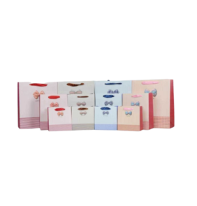 Σετ σακούλες δώρου - 12pcs - DF281S - 828123