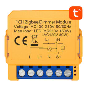 Smart socket switch ZigBee Avatto ZDMS16-2 TUYA