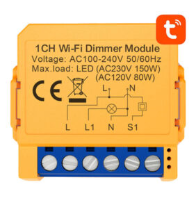 Smart socket switch WiFi Avatto DMS16-2 TUYA