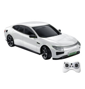 RC remote control car 1:16 Double Eagle (white)  Electric Car E725-003