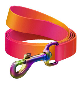 Nylon dog leash WAUDOG gradient, lgth. 122cm, orange