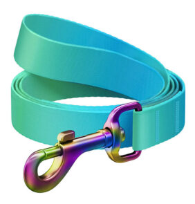 Nylon dog leash WAUDOG gradient, w. 20 mm, lgth. 122cm, blue