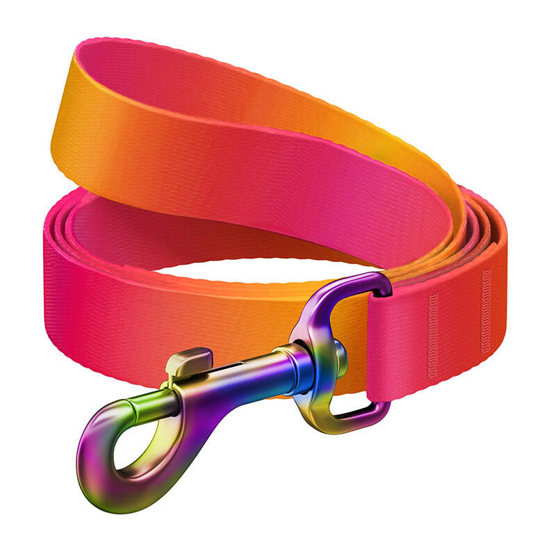 Nylon dog leash WAUDOG gradient, w. 20 mm, lgth. 122cm, orange