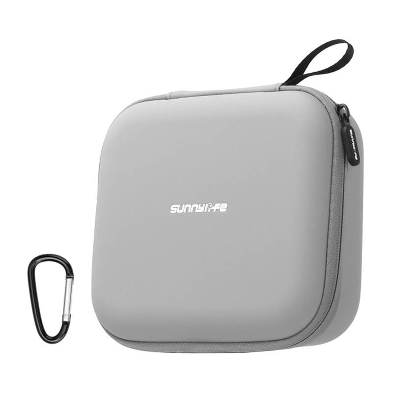 Sunnylife Body Bag FP-B957-G for Flip (gray)