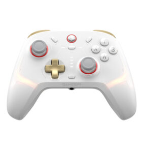 Wireless Controller GameSir Cyclone 2 (white)