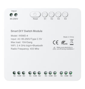 Avatto WSMD-4 250V DIY Smart Switch Module